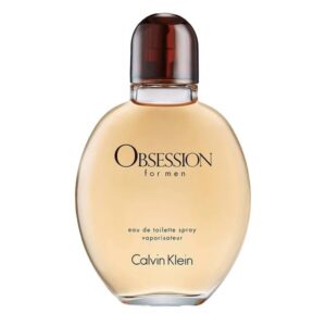 Calvin Klein Obsession Eau de Parfum 3.3 oz for Women