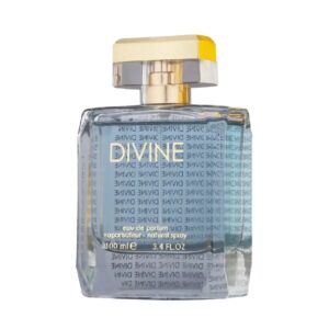Jpg Divine 3.3 Edp Spr Eau De Parfum for Women - 3.3 OZ