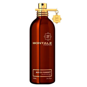 Montale Aoud Forest 3.3 Edp Spr Eau De Parfum for Unisex - 3.3 OZ