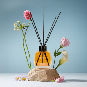 Loris Mango & Apple Reed Diffuser 120 ML Niche Perfume